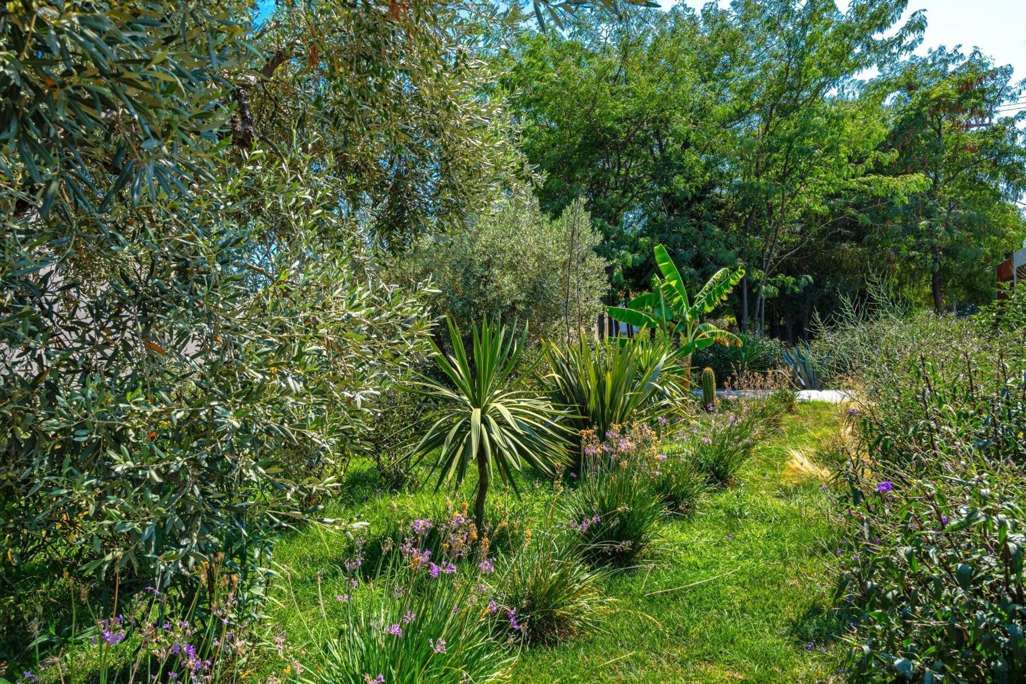 Utopia Eco Retreat * Skíathos